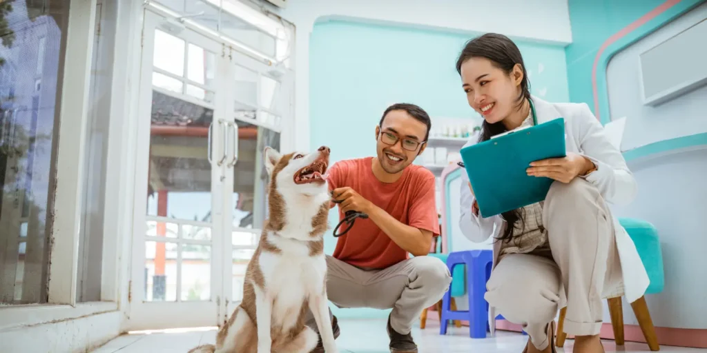 Building your Veterinarian Email List for targeted healthcare marketing