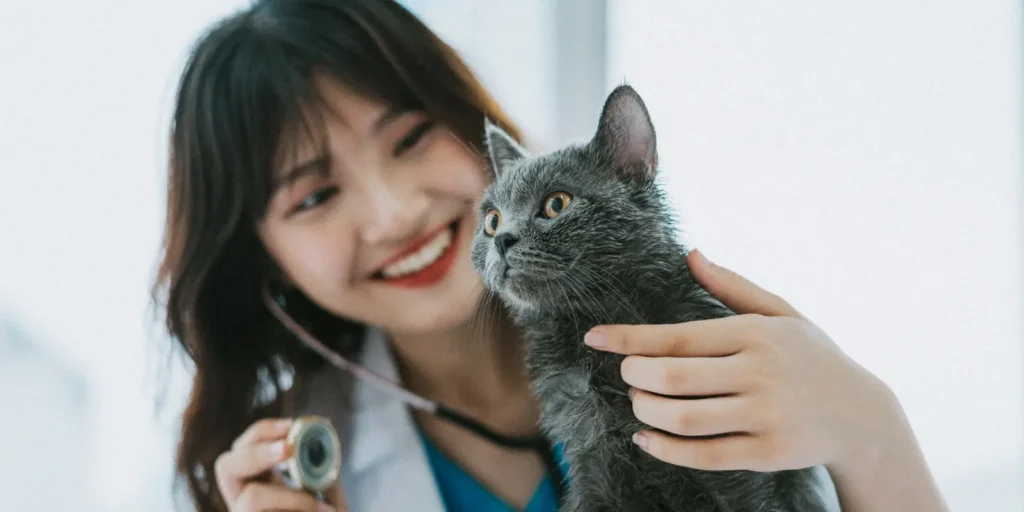 Email marketing strategies using Veterinarian Email List for targeted campaigns