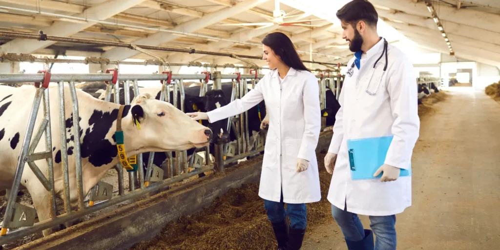 Leveraging Veterinarian Email List for successful healthcare marketing campaigns