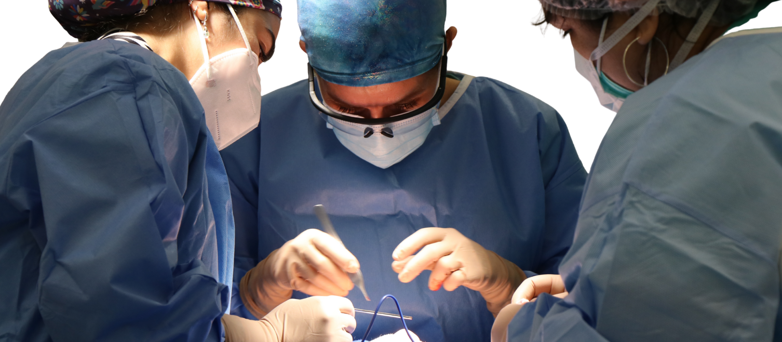 Vascular Surgeons Email List