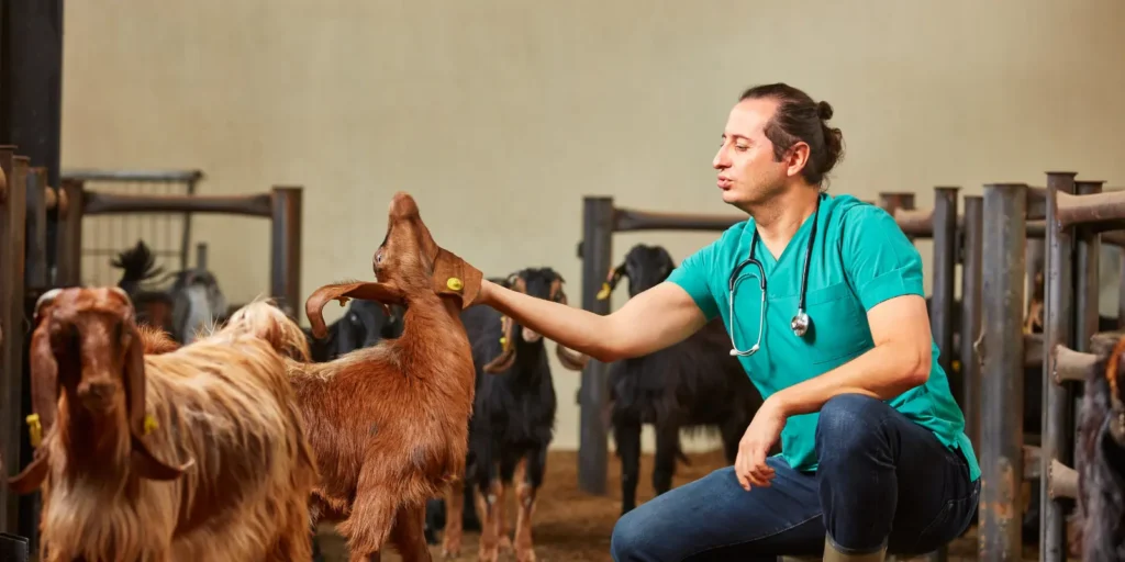 Verifying and maintaining Veterinarian Email List for accurate marketing data