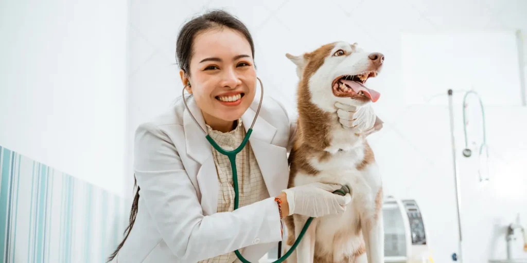 Veterinarian Email List for targeted healthcare marketing campaigns