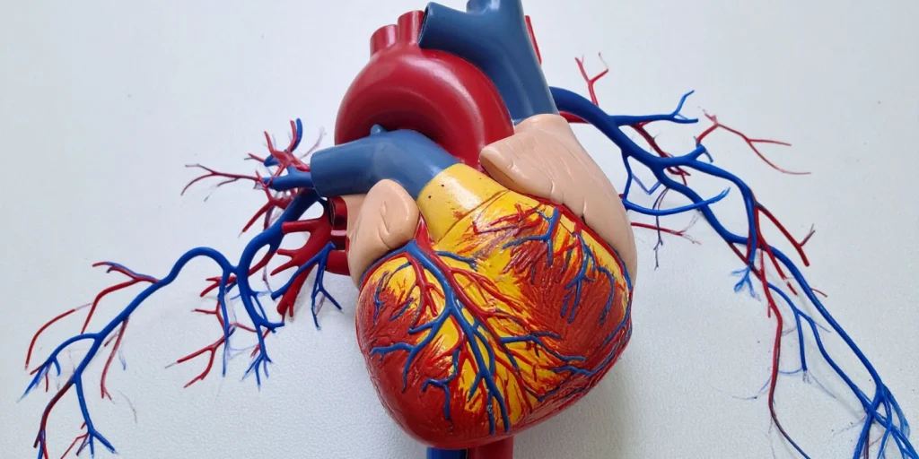 How We Build a Reliable Cardiologist Database